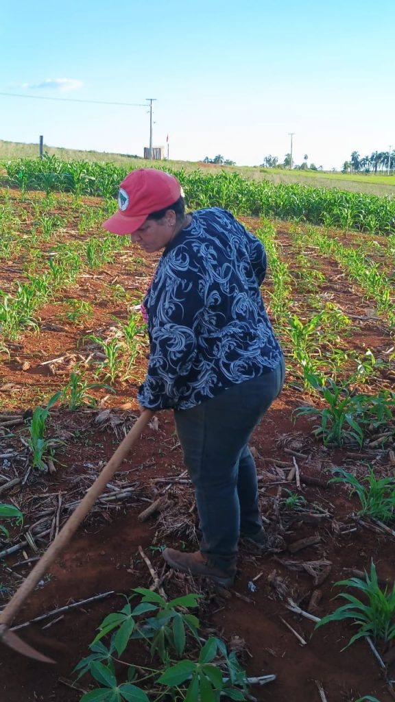 Pesquisa de campo em transição agroecológica